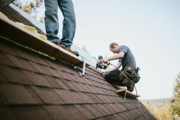 Best Roof Gutter Cleaning  in South Wilton, CT